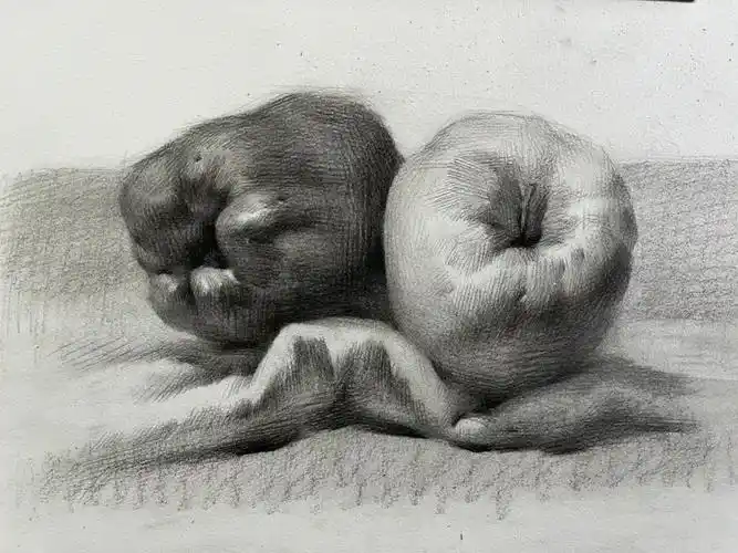 画画  #零基础素描  #美术生的日常  #水果  #大爱水果季