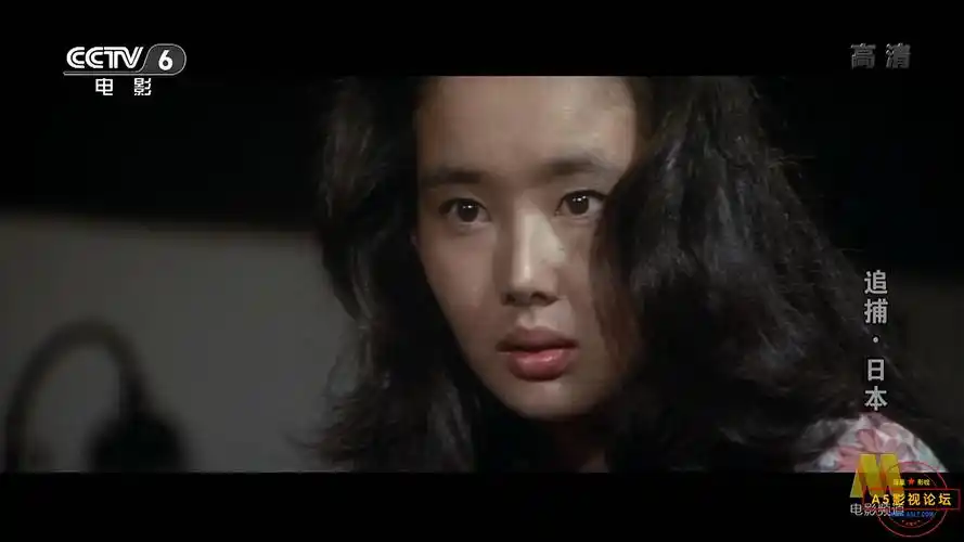 [日本电影][追捕][百度云网盘资源下载][1080p高清mkv/6.