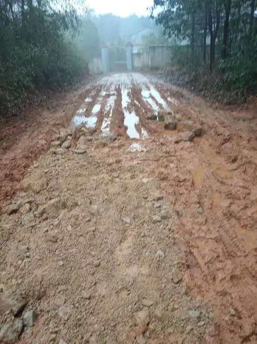 2020年农历十二月二十七下干,由队长夫人伍霞组织把