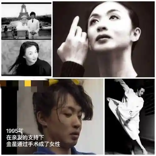 恭喜金星再婚时间玄机曝光曲折情史