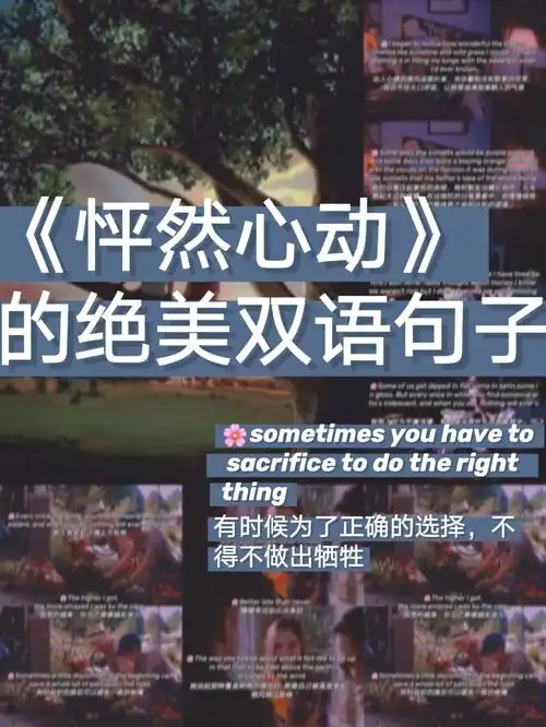 电影怦然心动里的绝美双语句子