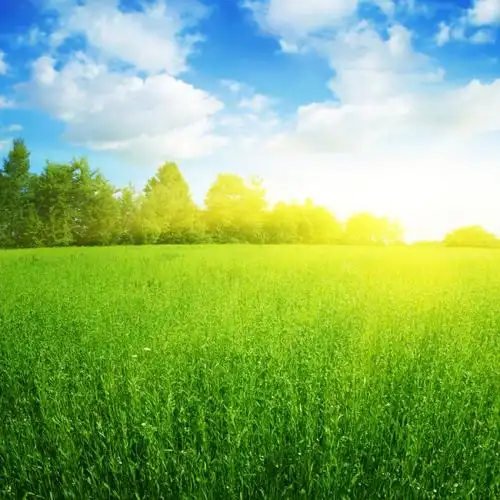 平凡是一种清淡得让自己陶醉的人生