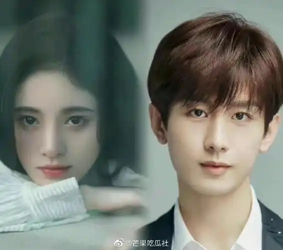 英雄志主演阵容成毅鞠婧祎##电视剧英雄志主演成毅鞠婧祎