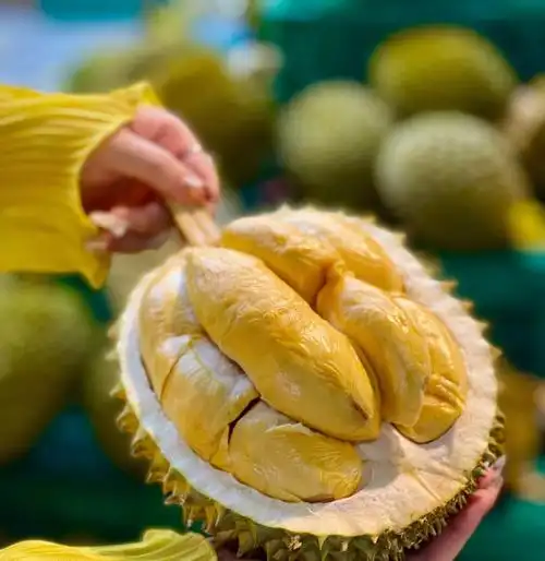 西双版纳 | 曼阁水果市场榴莲踩雷?攻略!