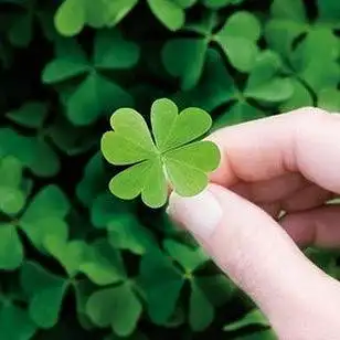 微信头像高清风景绿