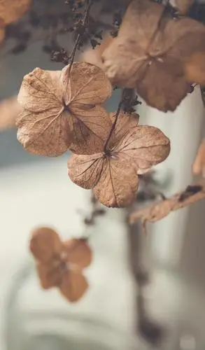 高清手机壁纸唯美复古是否还记得小时候的大白兔奶糖小淘气