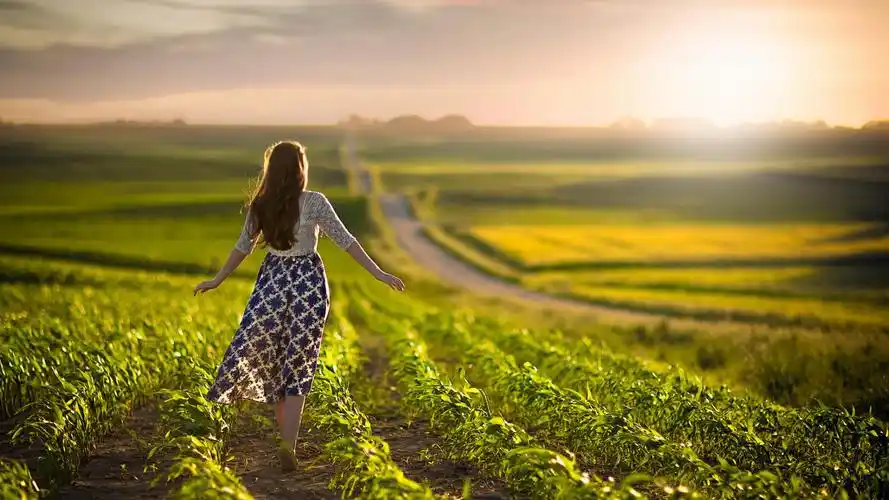 农场,女孩,裙子,公路,背景,唯美壁纸