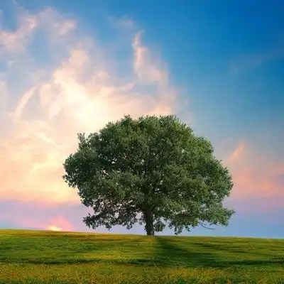 唯美高清真实大自然风景图片头像