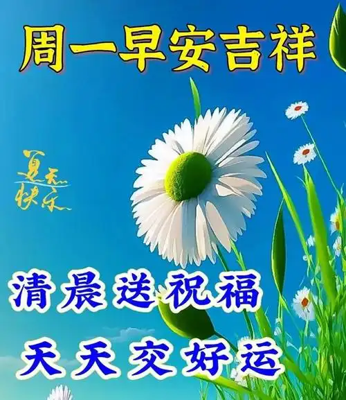 7月3日周一早上好漂亮祝福图片带字问候语