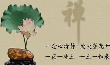 贾志龙佛学中的人生修行