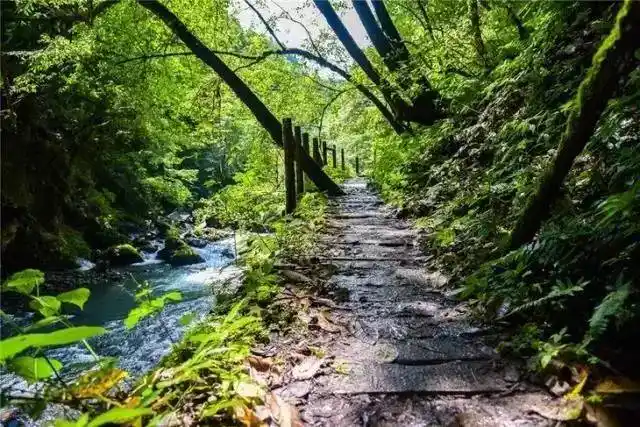 崇州周末避暑耍水圣地