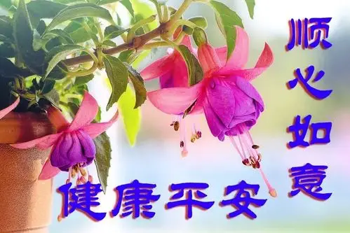 朋友们早上好表情大图朋友们早上好问候语励志句子