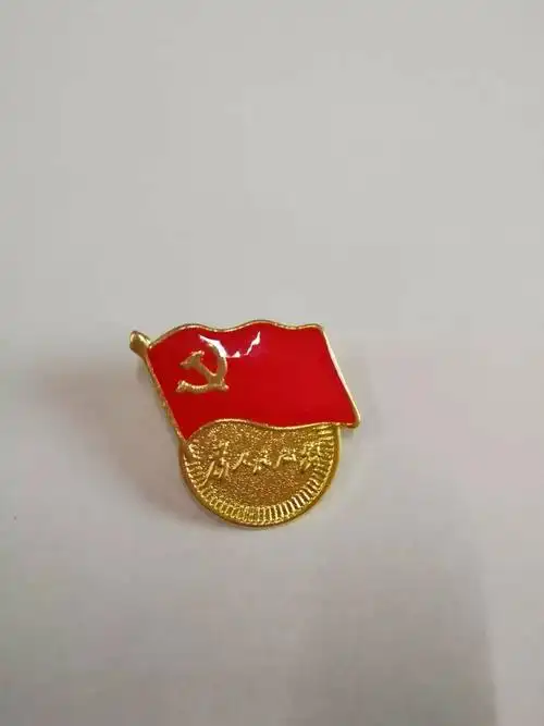 对不符合制作规定的党员徽章统一进行收缴管理党总支负责同志对党员