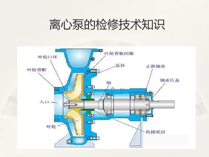离心泵的结构知识_word文档在线阅读与下载_无忧文档