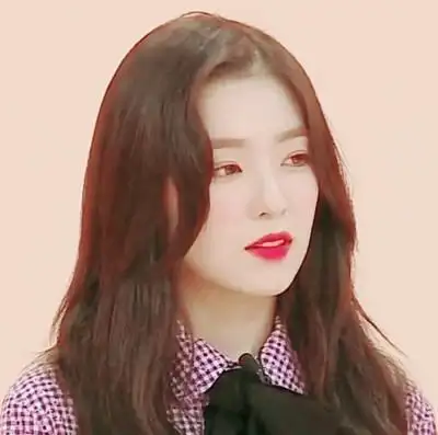 裴珠泫irene头像二传堆糖浪漫因素二改堆糖陈诗瑶