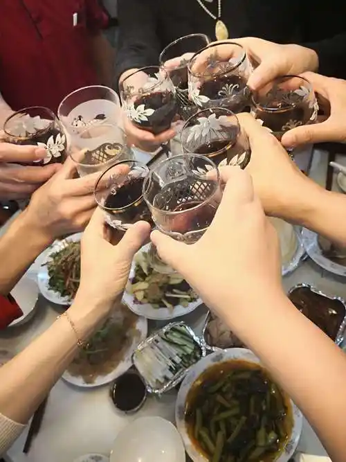 为了友谊干杯王医生家里聚会