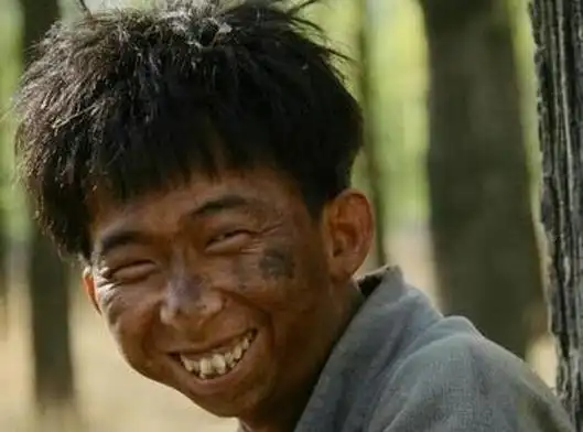 亚洲最丑明星榜单前20名,吴莫愁当选娱乐圈最丑的女明星