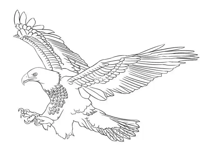 雄鹰展翅张翼可凌云,尖爪利喙慑雀魂.鸣击长空傲环宇,扶摇直上绝风尘.