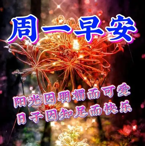 4月17日周一早上好新的一周新的开始温馨唯美早安祝福图片问候语句子
