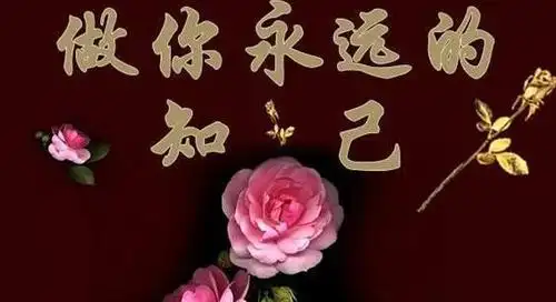 一辈子做知己,是世上最美的缘