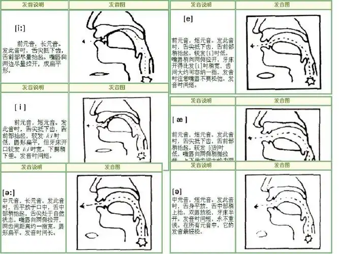 英语音标发音标准口型