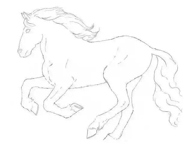 素描马的画法