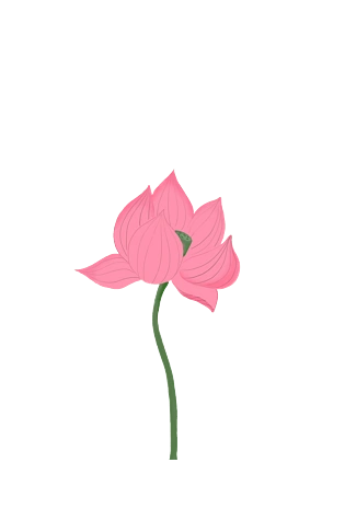 莲矢量图图片大全