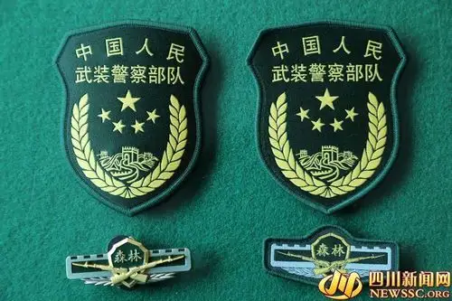 新式夏(冬)季常服臂章(图片来源:武警甘孜州森林支队)武警四川总队