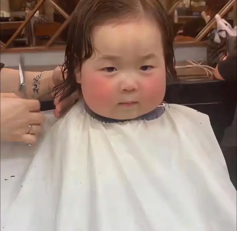 哈温的小卷发.#黄河温 #黄夏温 #黄夏温表情包 #分享照片 - 抖音