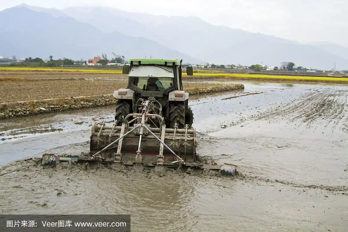 耕作水田机