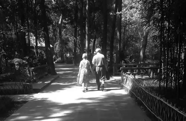 晚年,老夫老妻间单向的温暖_手机搜狐网