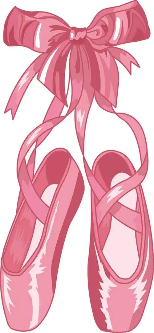 芭蕾舞鞋