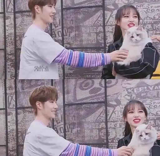 杜华把程潇当作亲女儿捧,始终没大火,原因是不想蹭王一博热度