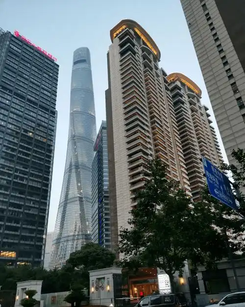 我膨胀了在看汤臣一品单价30万的房