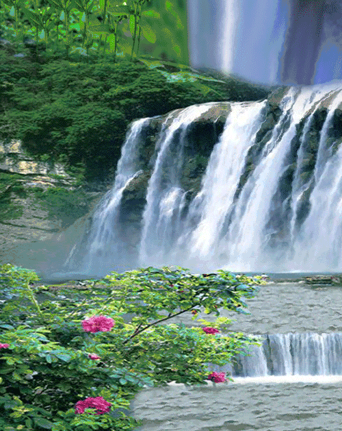 500_629竖版 竖屏gif 动态图 动图