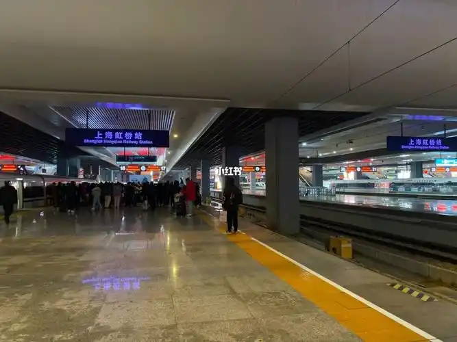 深夜的上海高铁站依然排队中