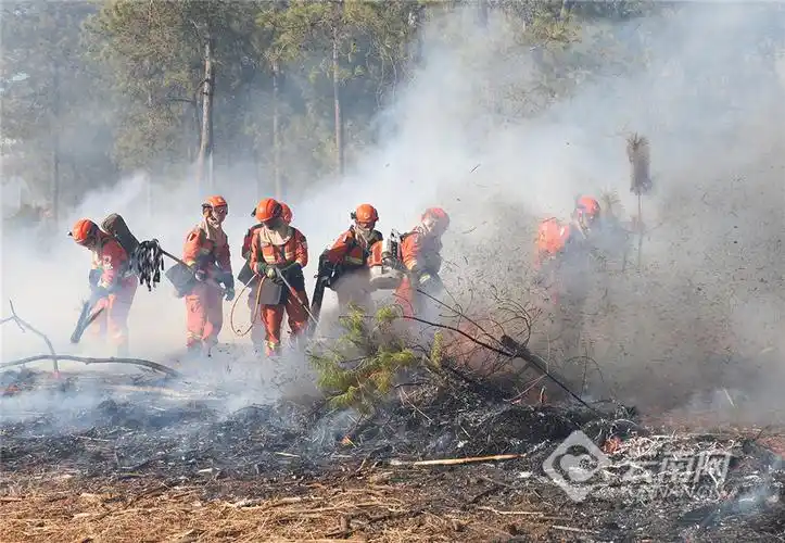 云南丽江直击森林消防员灭火行动综合演练现场