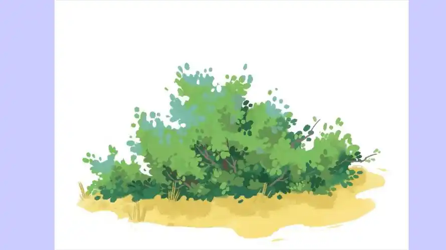 画个灌木丛啦!_哔哩哔哩_bilibili
