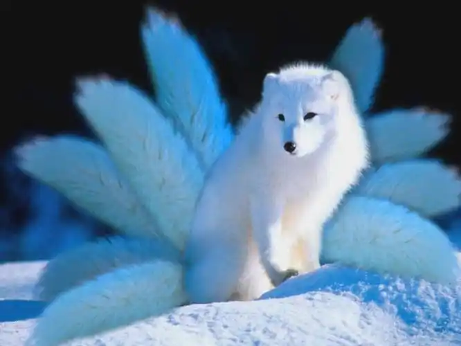 日本传统文化中活跃的老妖怪们