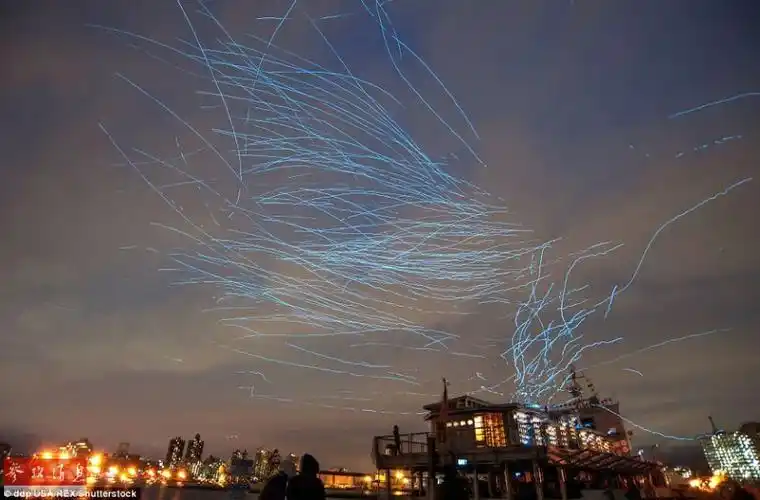 纽约上空两千羽"夜光鸽"飞舞(图)