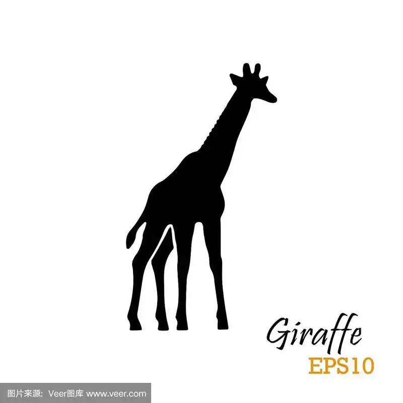 长颈鹿的剪影