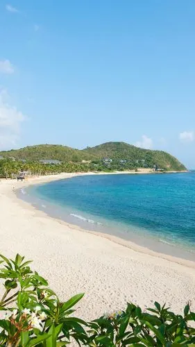 iphone 壁纸 海滩,海,棕榈树,热带,蓝天