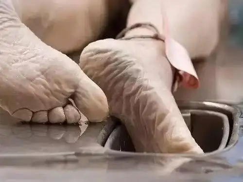 德国摄影师"直击"死亡,在太平间拍摄尸体系列照