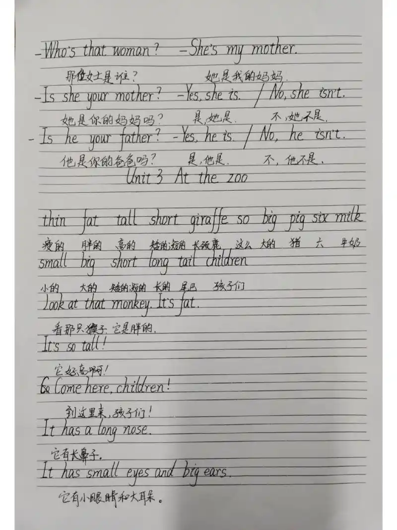人教版英语pep三年级下册 三年级下册手写体重点单词和句型,希望孩子