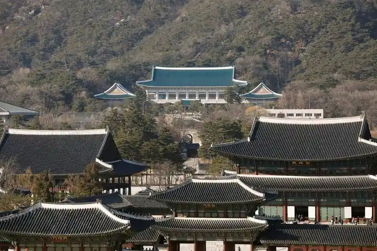 青瓦台朝韩关系不宜操之过急应加强韩美沟通