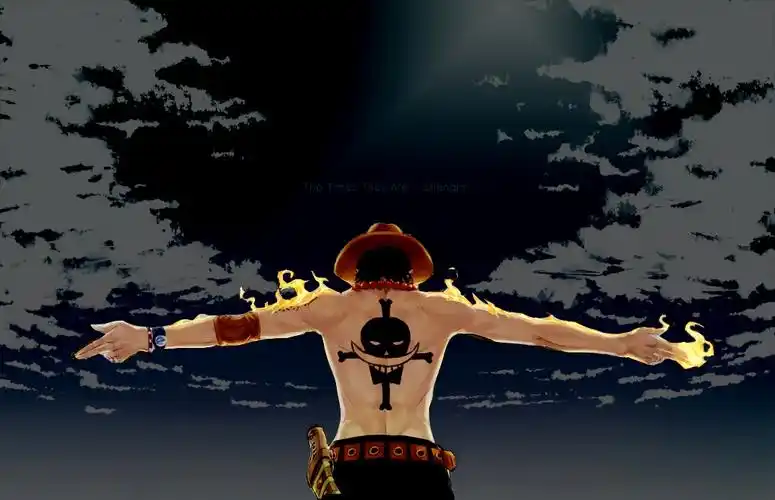 2 2013-02-10 求海贼王艾斯那张与天空的背景的那张图片做