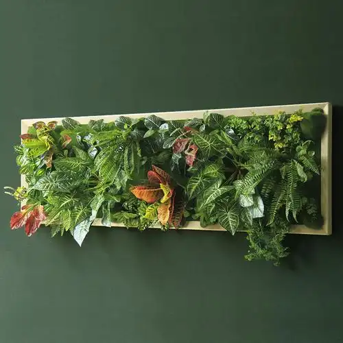 仿真多肉植物壁挂 墙壁绿植装饰墙面挂件 店铺墙体装饰创意植物墙
