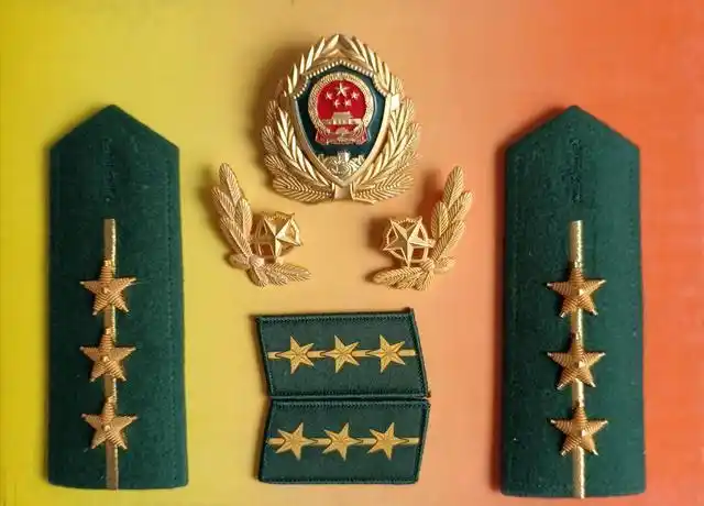 毛启国:武警07式警衔肩章图鉴_网易订阅