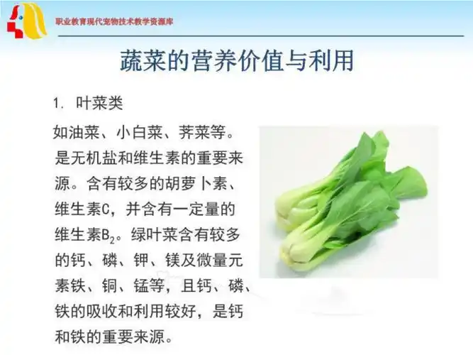 蔬菜的营养价值及利用精教学资料