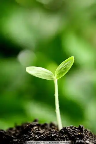 我知道你有个好听的名字:希望